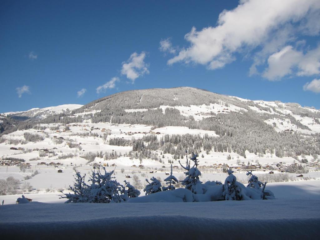 Fasserhof Bramberg am Wildkogel Camera foto